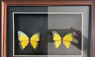 China Eliter Glass Anti-reflecterend glas